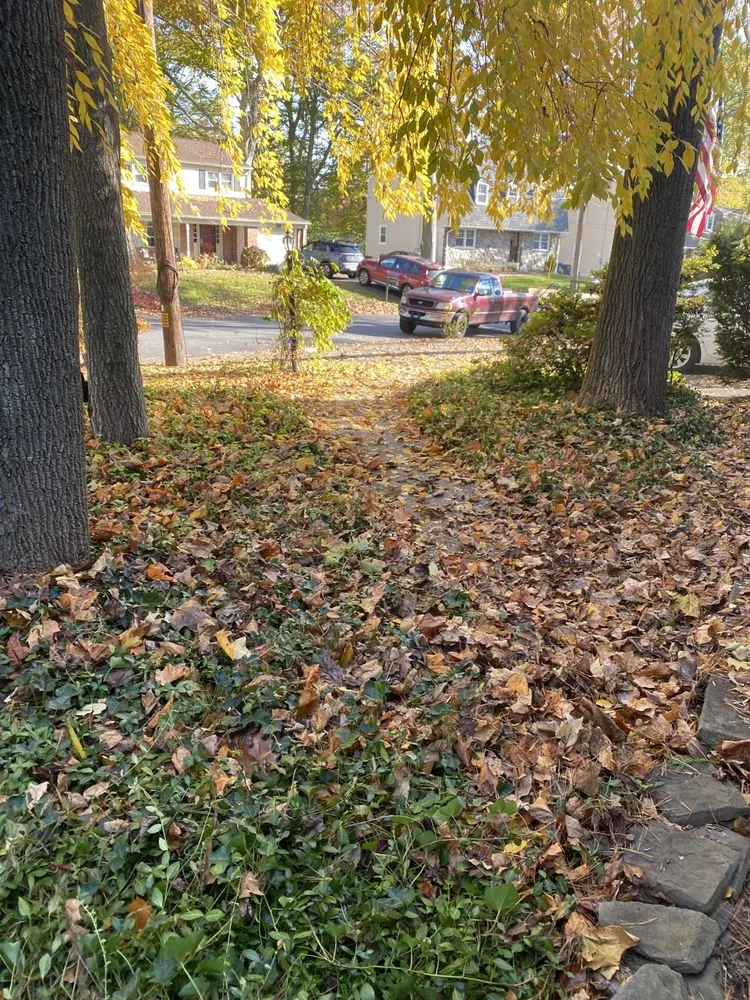 Trusted garden landscaping with custom design across Clifton Heights, PA - JDI Landscaping