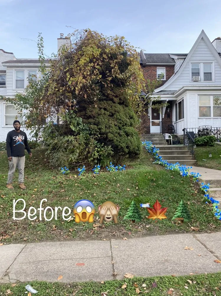 Local garden landscaping for beautiful yards across Clifton Heights, PA - JDI Landscaping