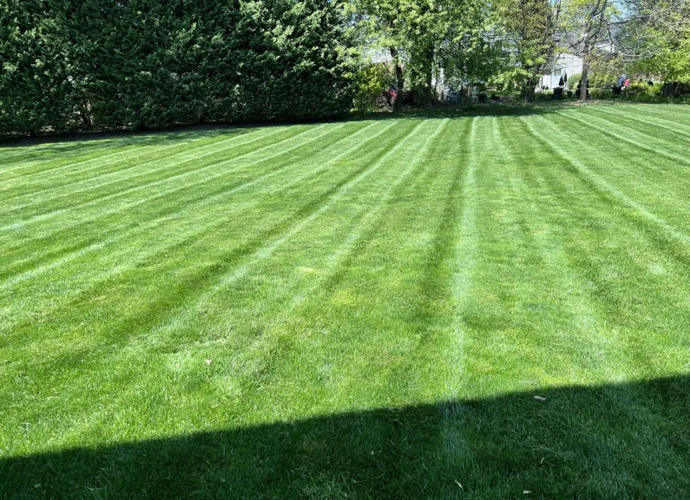 Top-rated garden landscaping for outdoor upgrades in Clifton Heights, PA by JDI Landscaping