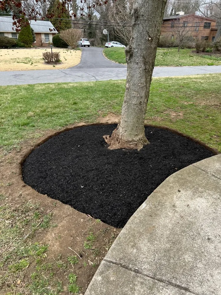 Top-rated landscaping services for year-round maintenance in Clifton Heights, PA by JDI Landscaping