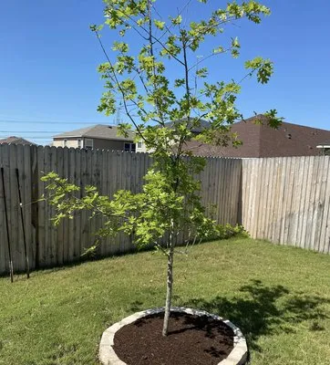 JDJ Landscaping Logo