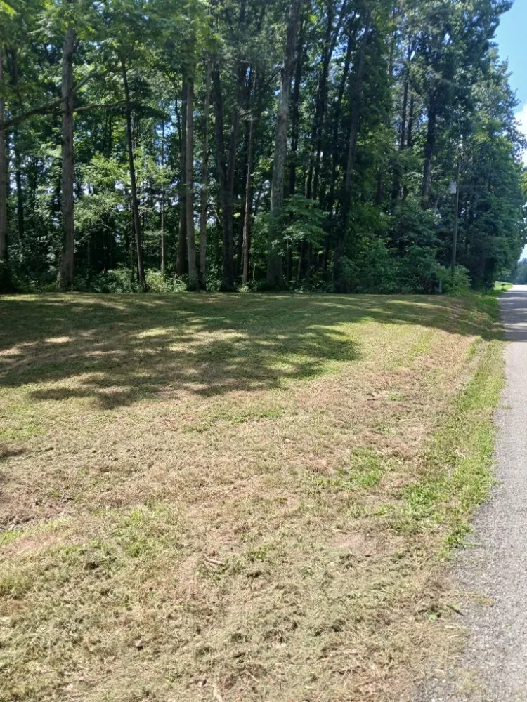 Trusted yard maintenance experts serving North Vernon, IN - Jdk Lawncare Service & Junk Removal