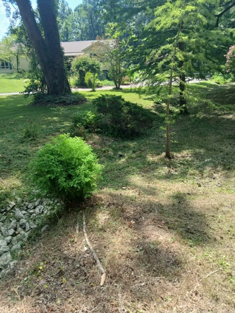 Professional landscape installation experts serving North Vernon, IN - Jdk Lawncare Service & Junk Removal