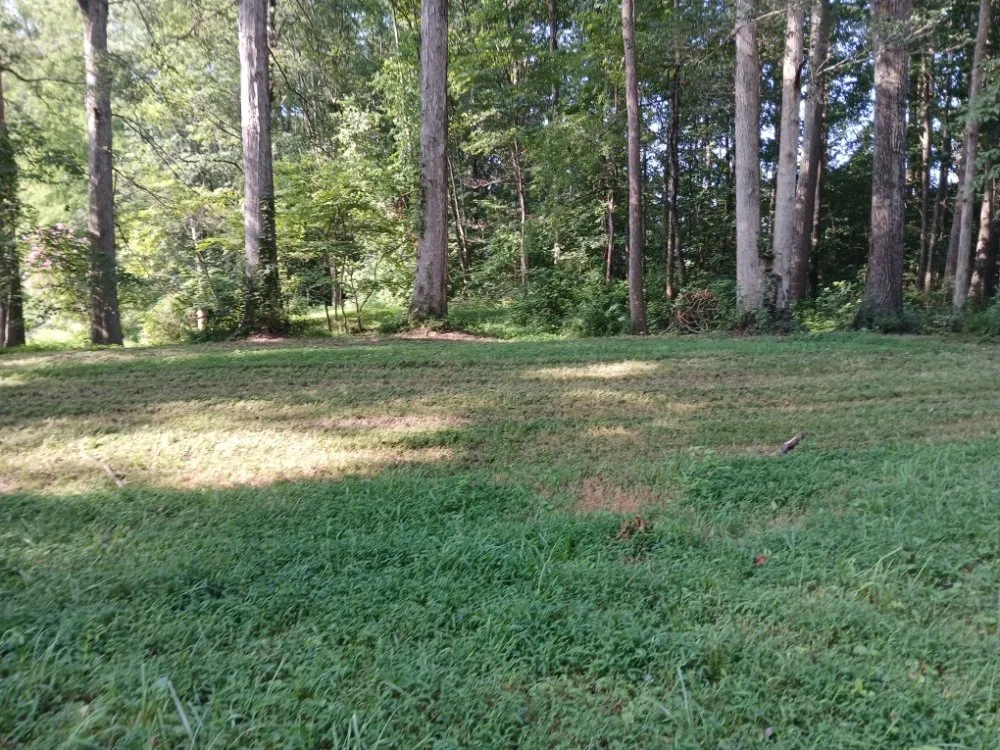 Local lawn mowing service in North Vernon, IN - Jdk Lawncare Service & Junk Removal