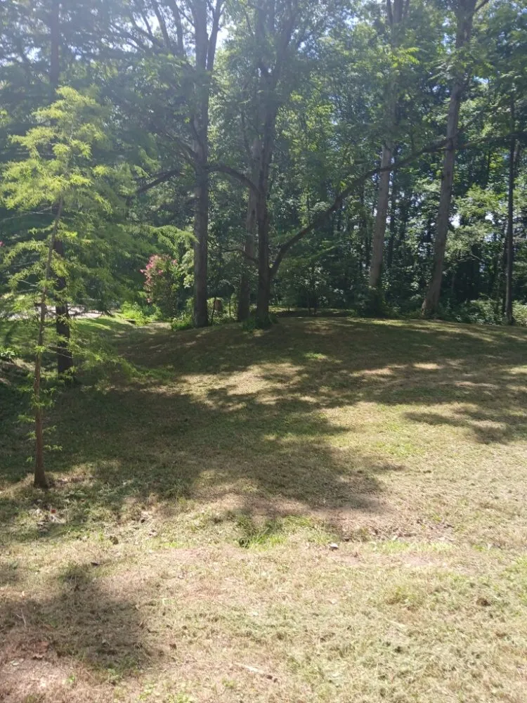 Professional landscaping services for beautiful yards in North Vernon, IN by Jdk Lawncare Service & Junk Removal