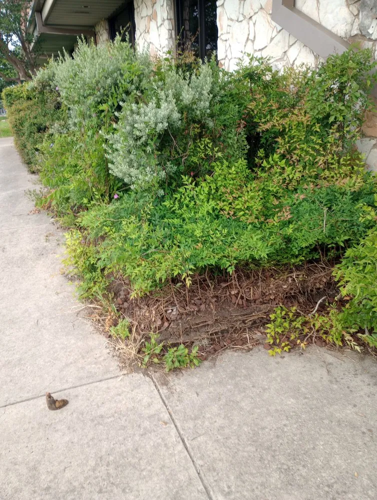Local garden landscaping in Niederwald, TX by JDL Construction