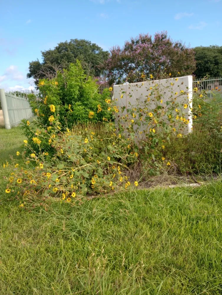 Professional yard maintenance in Niederwald, TX by JDL Construction