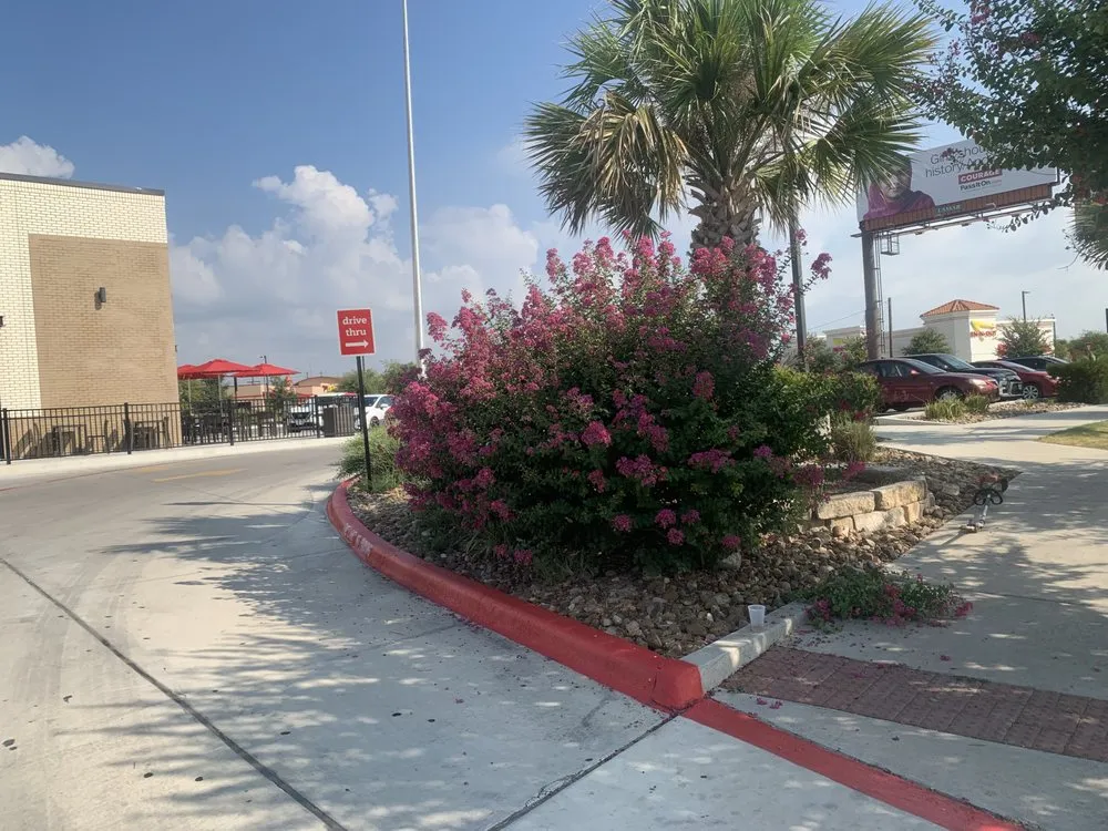 Expert lawn care service in Niederwald, TX by JDL Landscape Designs