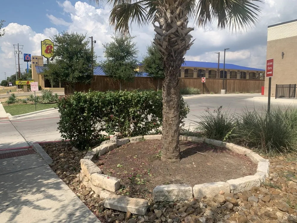 Expert lawn mowing service experts serving Niederwald, TX - JDL Landscape Designs