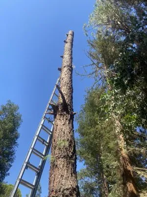 Jdm Enterprises Logo