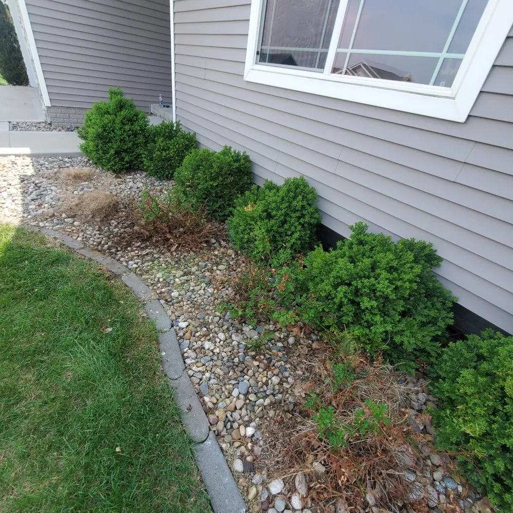 Expert yard cleanup service in Des Moines, IA by Jdm General Services