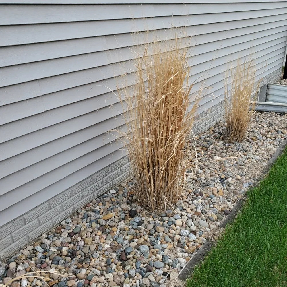 Reliable garden landscaping in Des Moines, IA - Jdm General Services