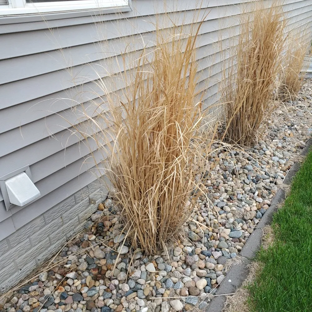 Top-rated landscape design for residential properties across Des Moines, IA - Jdm General Services