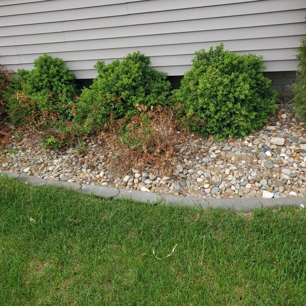 Trusted landscaping services for year-round maintenance in Des Moines, IA by Jdm General Services