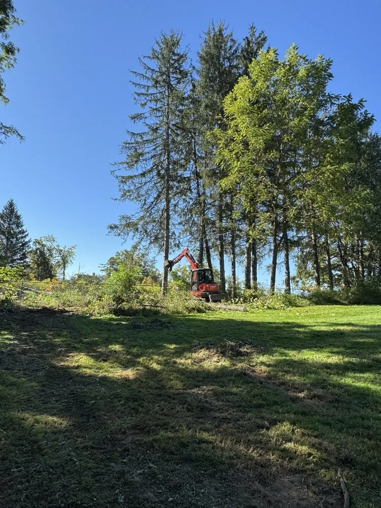 Local landscape design for beautiful yards in Rosendale, NY by JDM Home Improvement