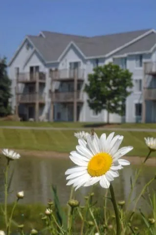 Affordable landscape design in El Paso, TX - JDM Landscape