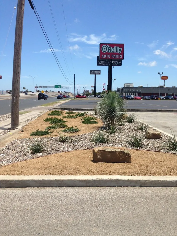 Top-rated yard cleanup service experts serving Robstown, TX - JDM Landscapes & Design