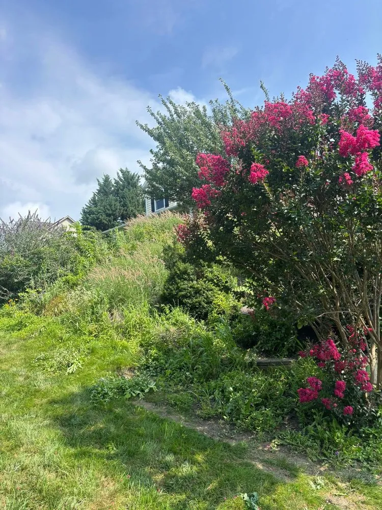 Affordable garden landscaping in Millersville, PA by JDM Landscaping