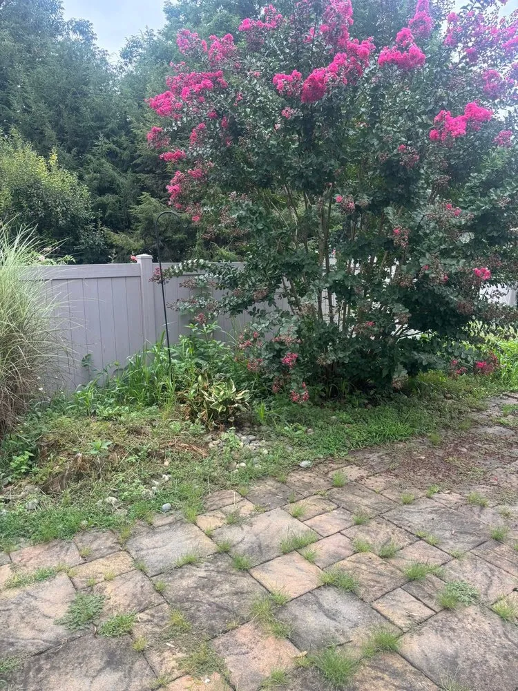 Local yard maintenance in Millersville, PA - JDM Landscaping