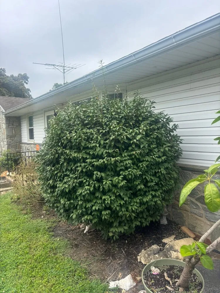 Professional landscape design with custom design in Millersville, PA by JDM Landscaping