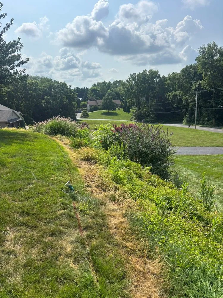 Expert yard cleanup service experts serving Millersville, PA - JDM Landscaping