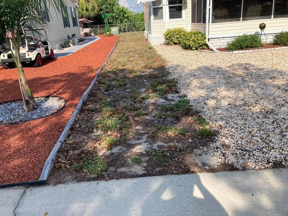 Top-rated yard maintenance in Port Richey, FL - JDM Landscaping