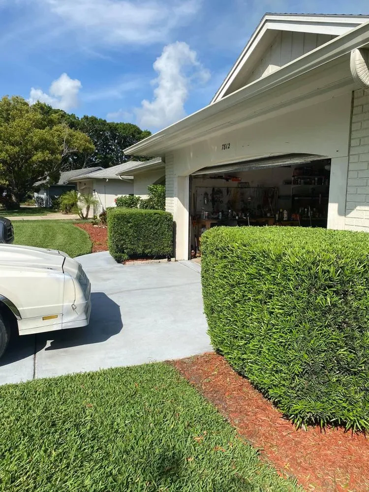 Expert garden landscaping for year-round maintenance across Port Richey, FL - JDM Landscaping