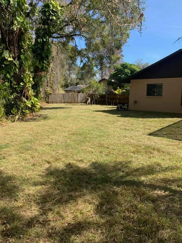 Affordable lawn care service for homes in Port Richey, FL by JDM Landscaping