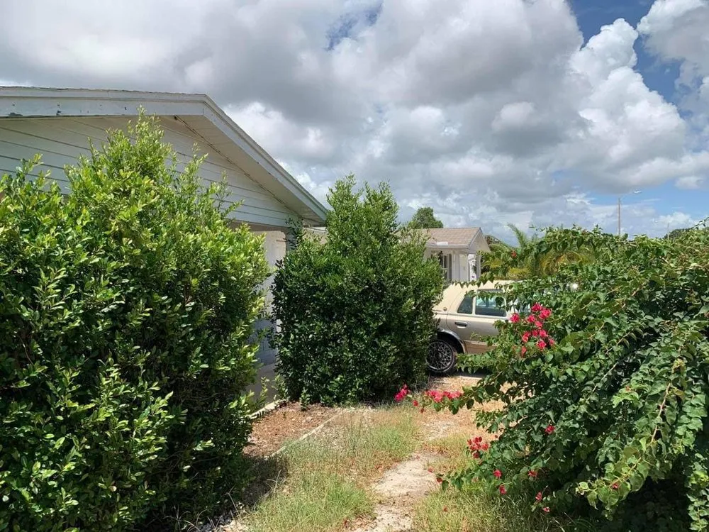 Top-rated landscape installation for year-round maintenance across Port Richey, FL - JDM Landscaping