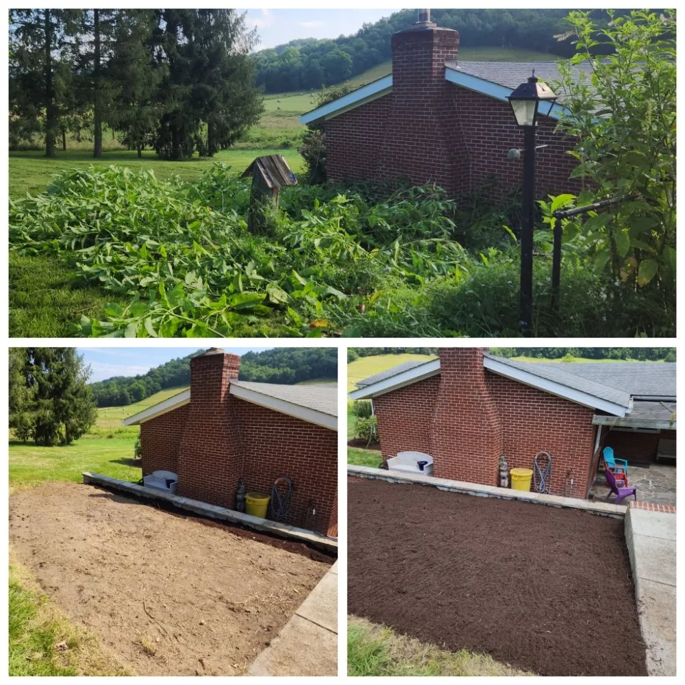 Reliable yard cleanup service for beautiful yards across Union, WV - JDM Landscaping