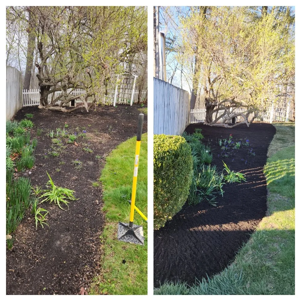 Custom lawn care service in Union, WV by JDM Landscaping