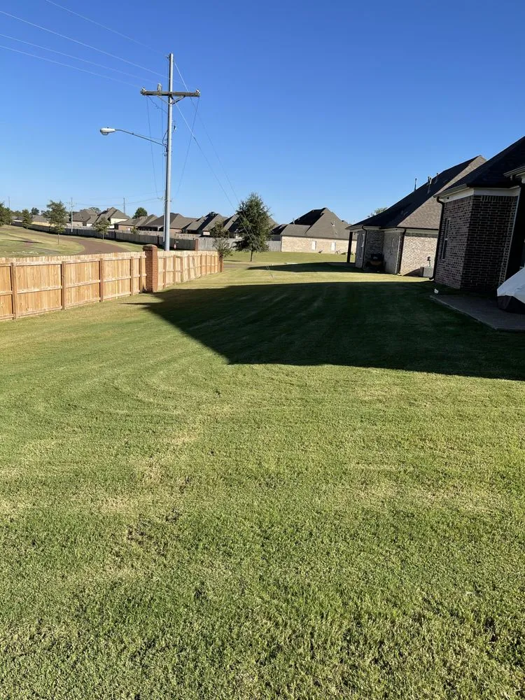 Professional landscaping services in Walls, MS - JDM Yard Services and More