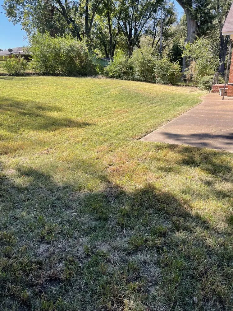 Local landscape installation in Walls, MS - JDM Yard Services and More