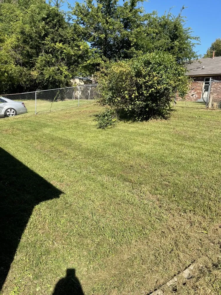 Top-rated yard maintenance near you across Walls, MS - JDM Yard Services and More