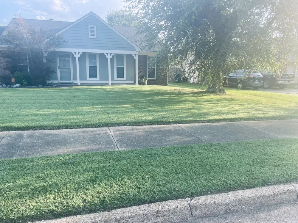 Affordable landscaping services for year-round maintenance in Walls, MS by JDM Yard Services and More