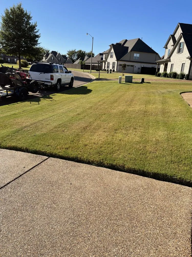 Local yard cleanup service for homes in Walls, MS by JDM Yard Services and More