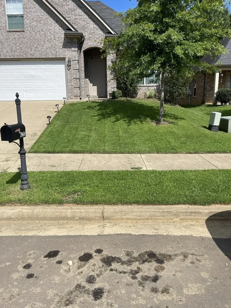 Top-rated outdoor landscaping in Walls, MS by JDM Yard Services and More