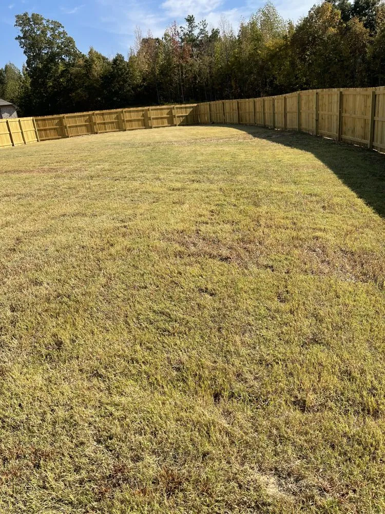 Expert landscape installation in Walls, MS - JDM Yard Services and More