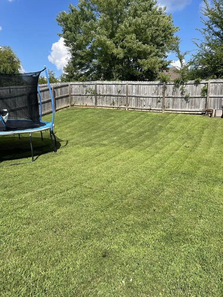 Local outdoor landscaping experts serving Walls, MS - JDM Yard Services and More