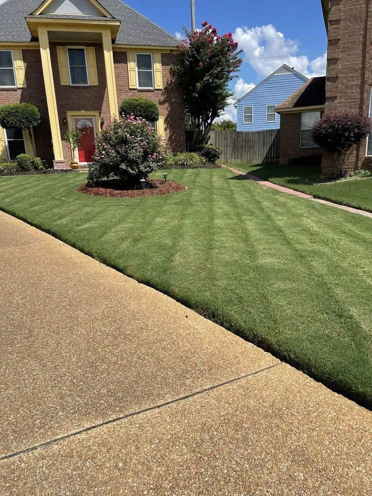Reliable landscaping services for year-round maintenance in Walls, MS by JDM Yard Services and More