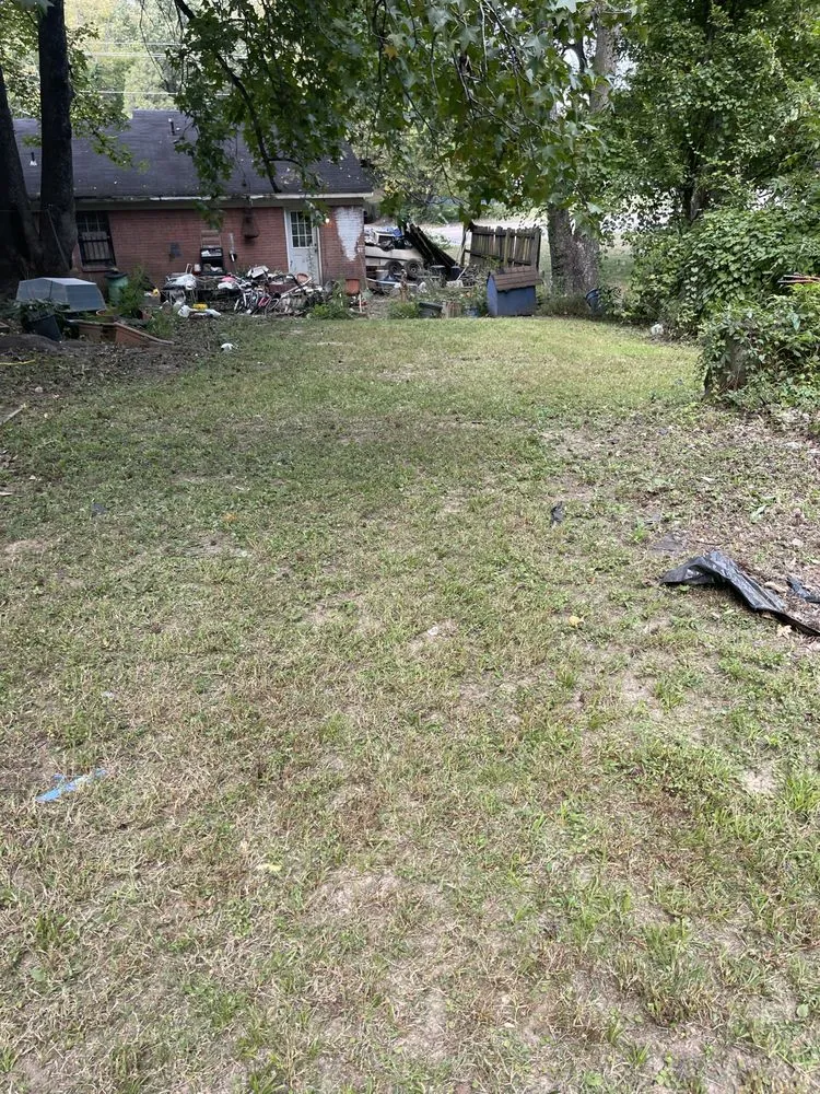 Reliable lawn care service near you across Walls, MS - JDM Yard Services and More