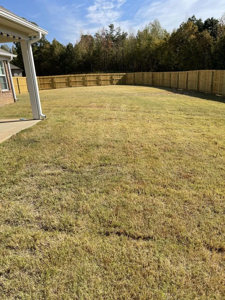 Local lawn mowing service in Walls, MS by JDM Yard Services and More