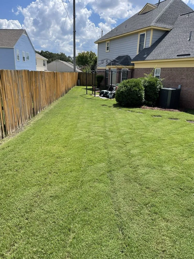 Expert landscape design in Walls, MS by JDM Yard Services and More