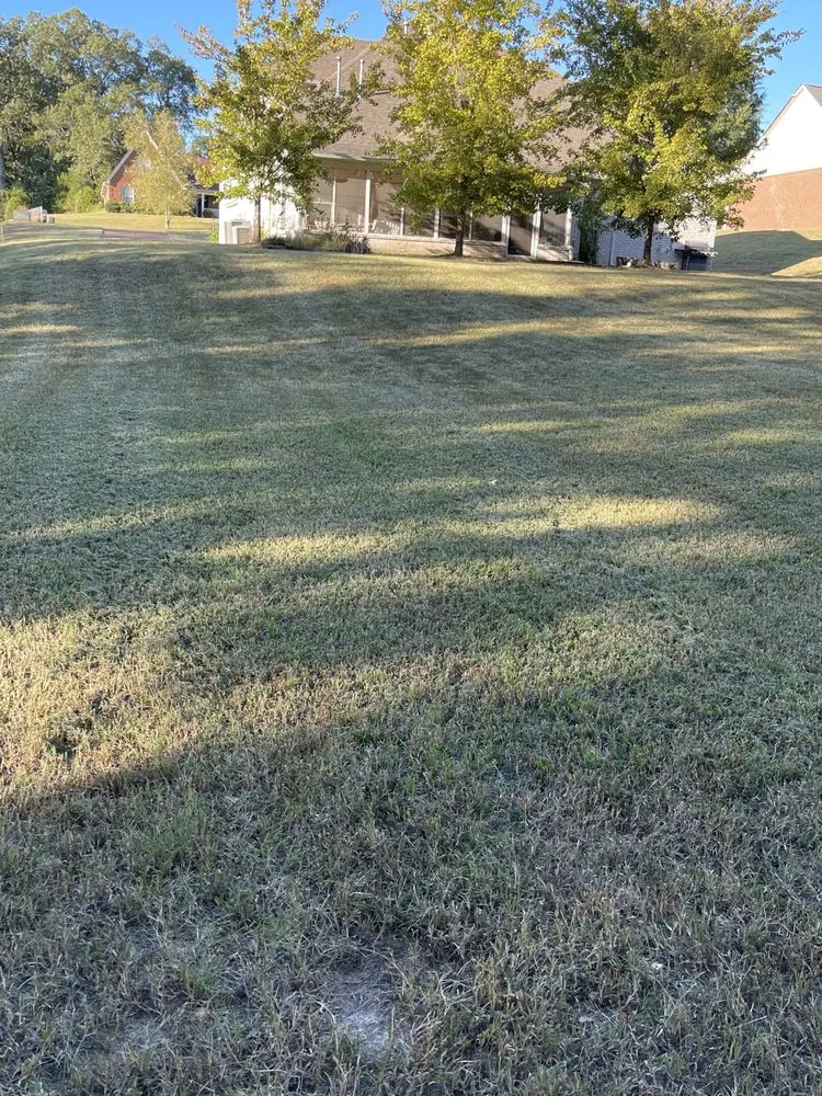 Affordable yard maintenance experts serving Walls, MS - JDM Yard Services and More