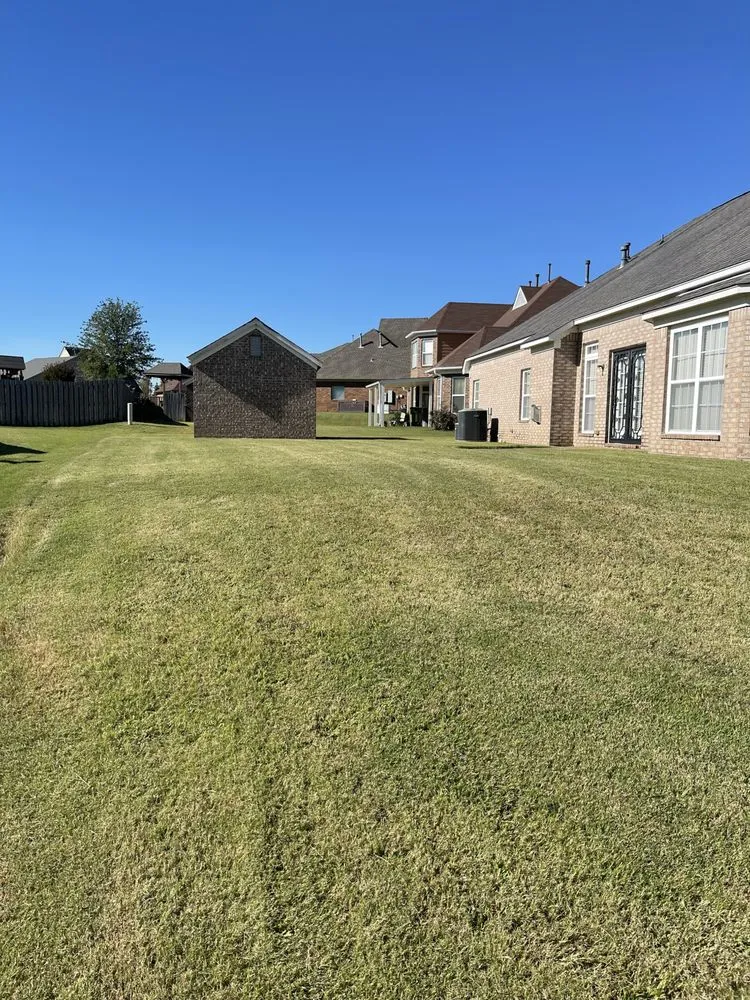 Top-rated lawn care service experts serving Walls, MS - JDM Yard Services and More