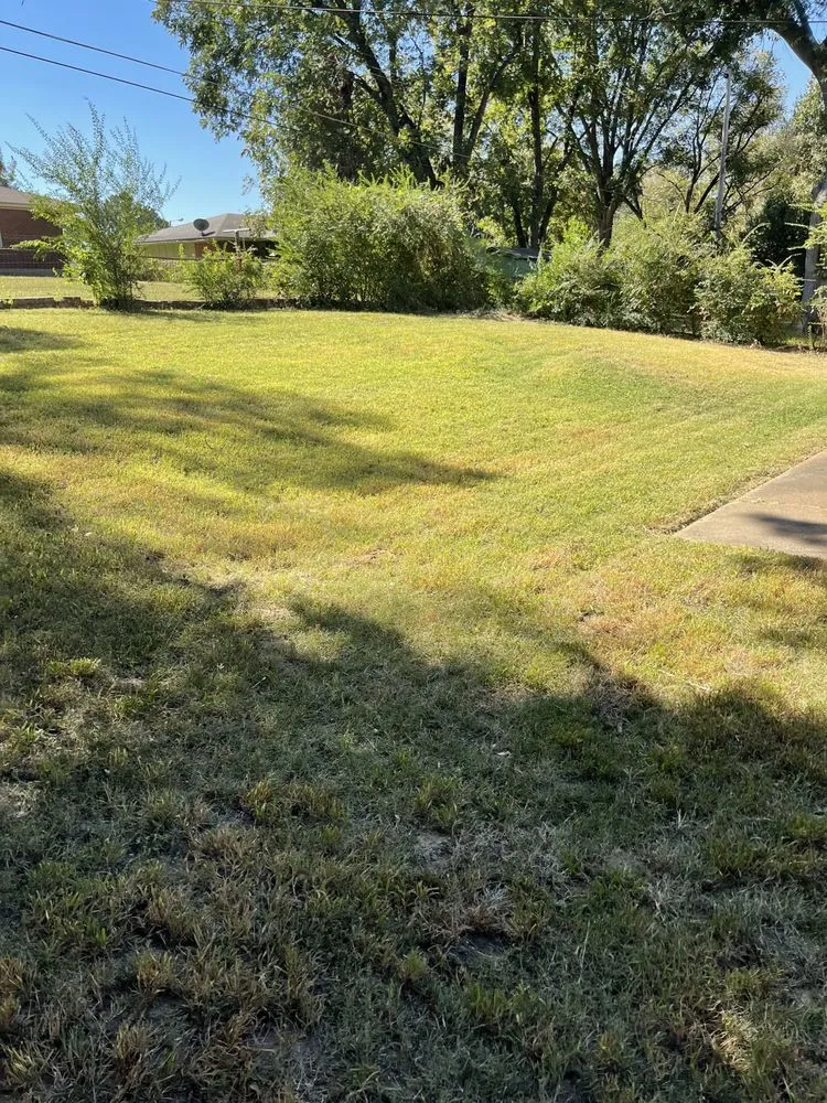 Local landscape design in Walls, MS by JDM Yard Services and More