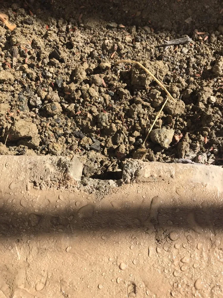 Professional yard maintenance in Concord, CA - JDN Contractors