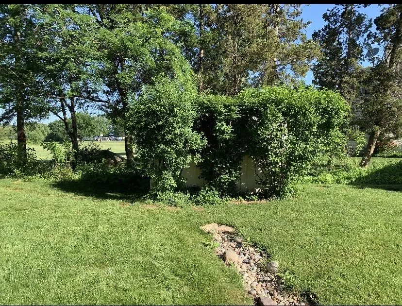 Local lawn care service in Addison, IL by Jdp Landscaping