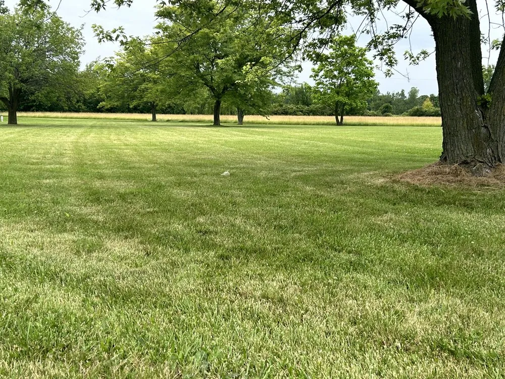 Expert landscape installation in Newport, MI by JDP Lawn Services