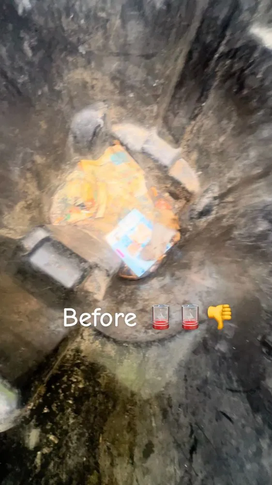 Expert outdoor landscaping for beautiful yards across Benson, NC - JDP PressureWashing